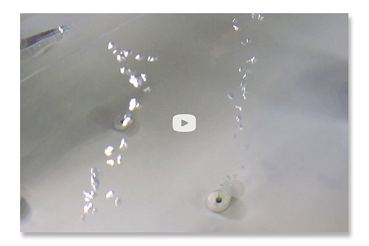 Gecko Alliance video image